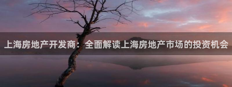 永利置业