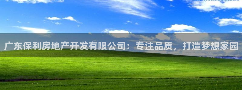 永利股份(300230)