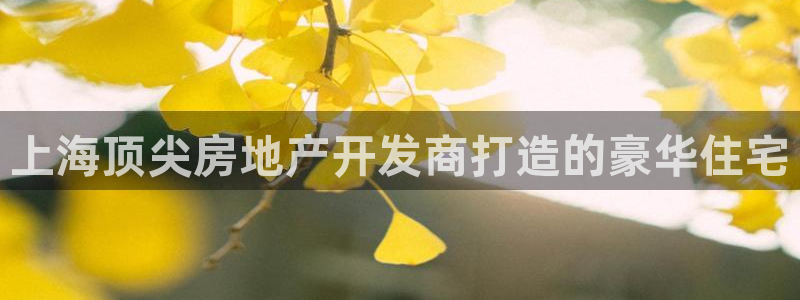 永利房地产有限公司