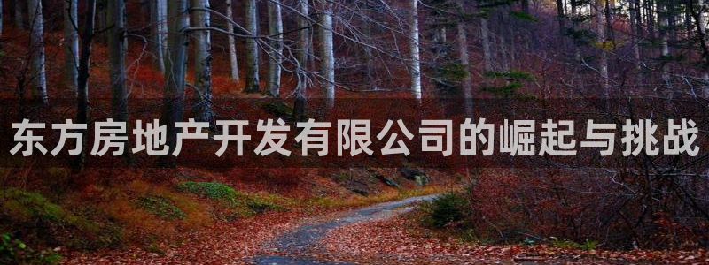 永利有限公司