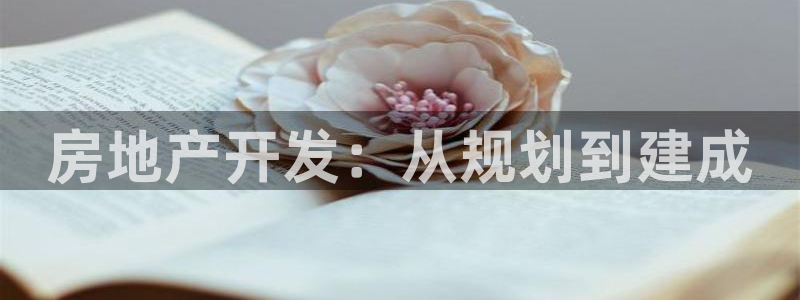 永利官网是什么