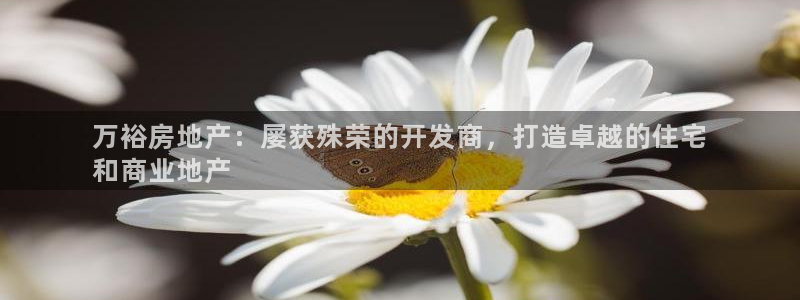 永利皮带报价查询