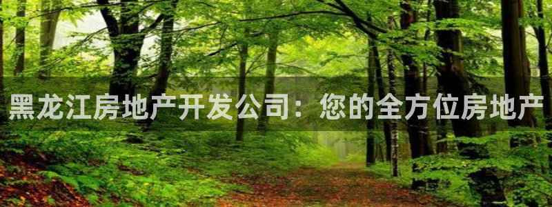 永利汇茶具怎么样