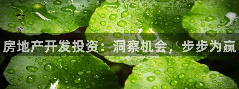 永利皮带官网