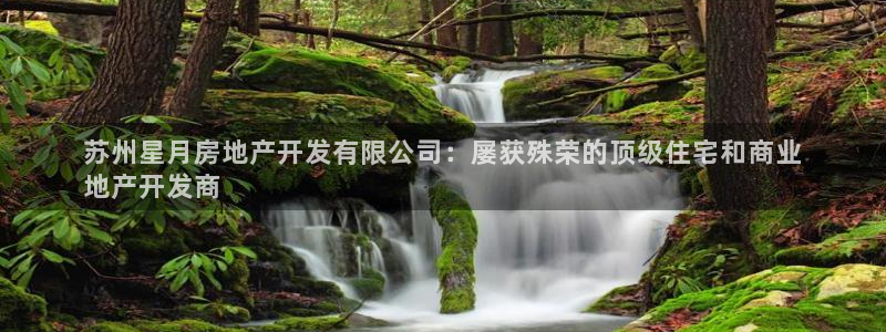 永利是啥意思