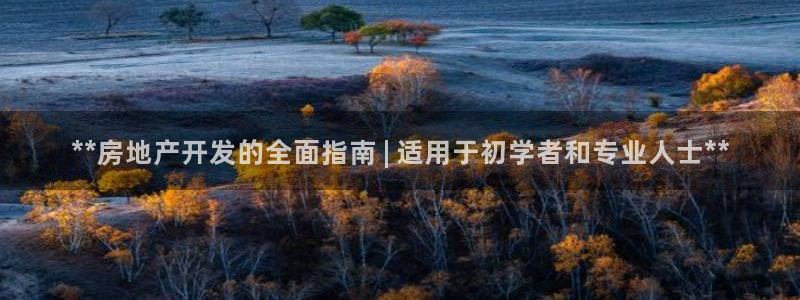 苏州金沙永利怎么样