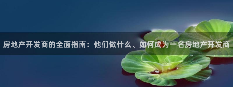 永利房地产有限公司