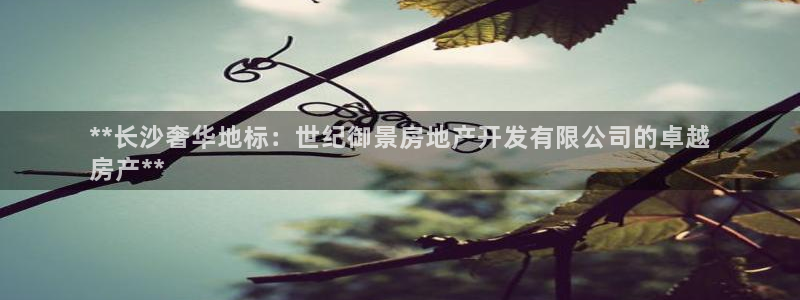 澳门永利陈志玲什么地方人