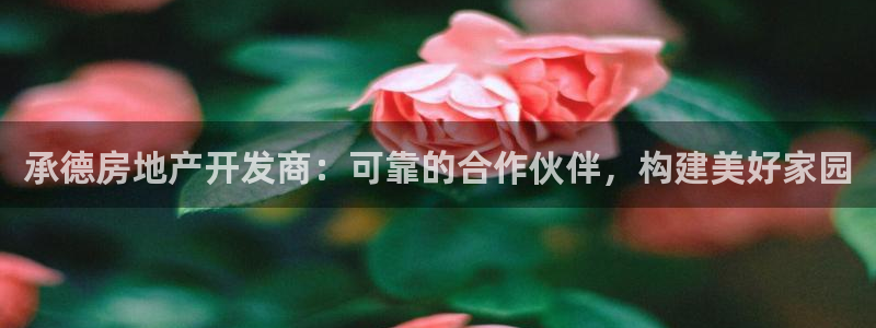 莱州永利集团